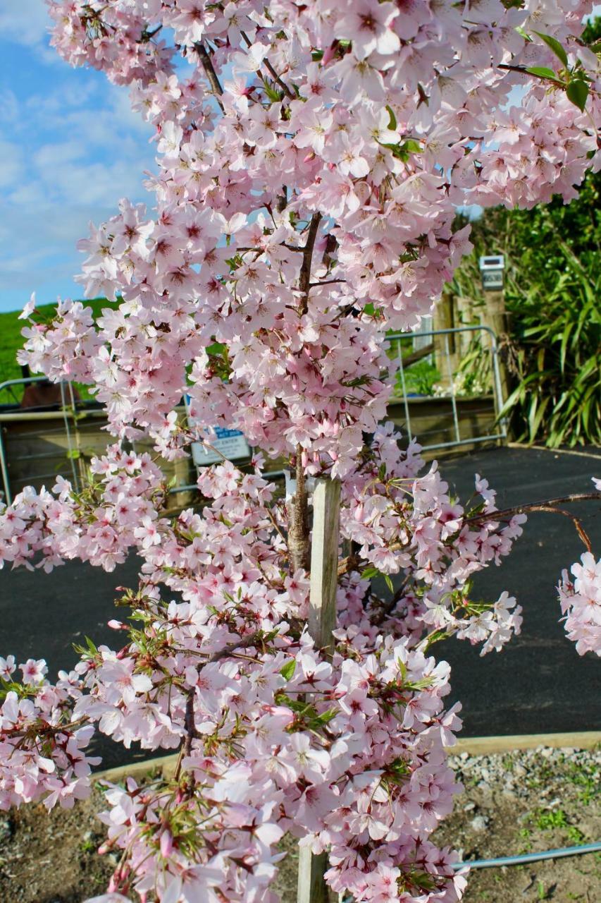 Arohanui Rural Retreat B&B Tauranga Buitenkant foto