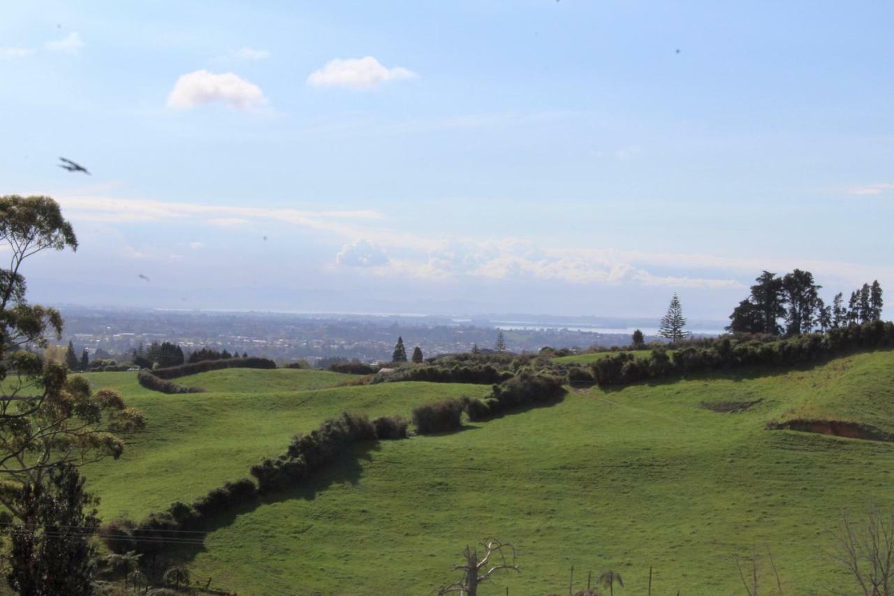Arohanui Rural Retreat B&B Tauranga Buitenkant foto
